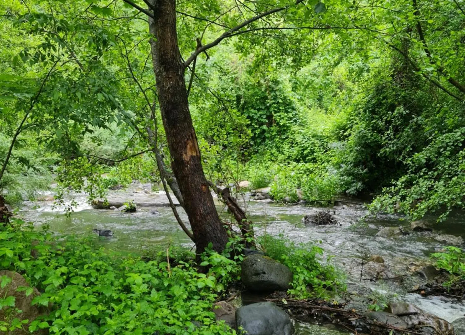 Le Moulin D'onclaire Camping et chambres d'hôtes Coux